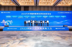 汽车工程学会副秘书长公维洁对《2025汽车